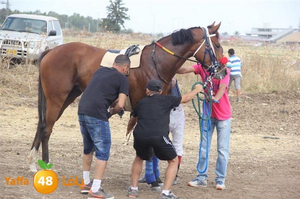 khoyoul lud 0610 (11).JPG